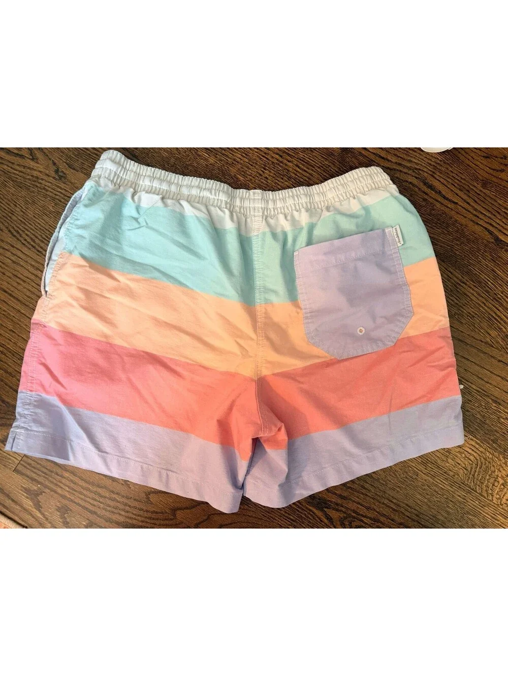 Chubbies Flavor Savors Pastel Stripe Swim Trunk Men's Medium Stretch Shorts